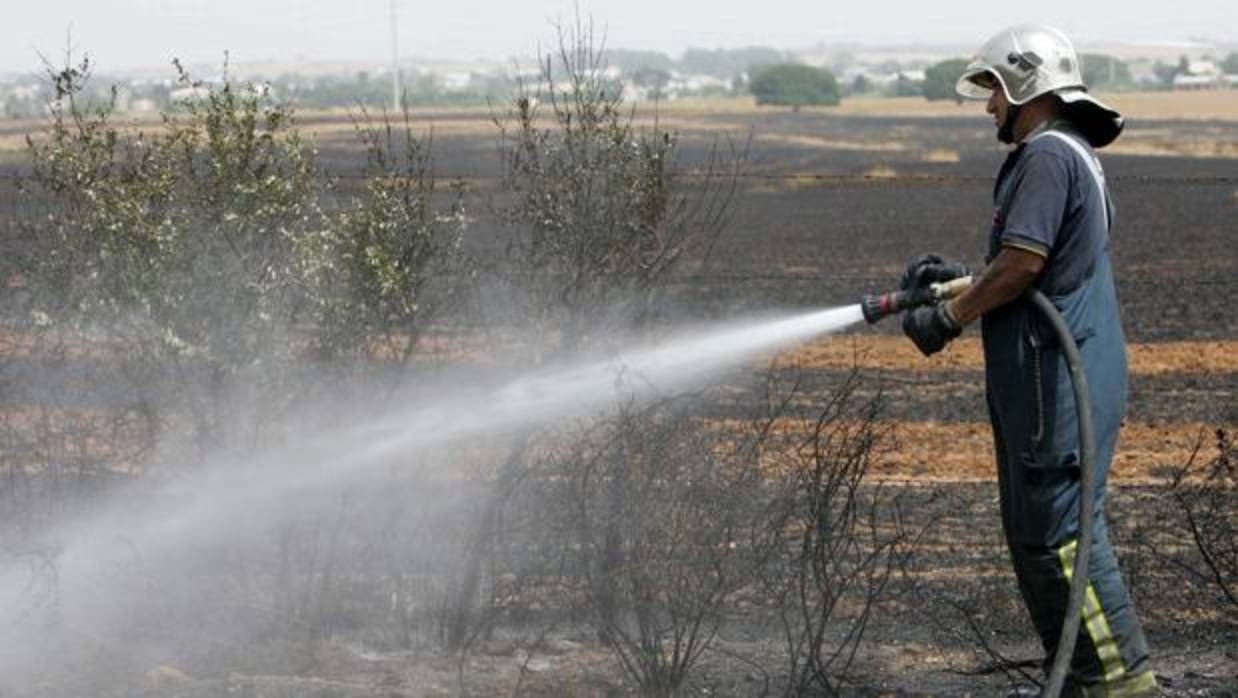 Un Bombero refresca un campo quemado