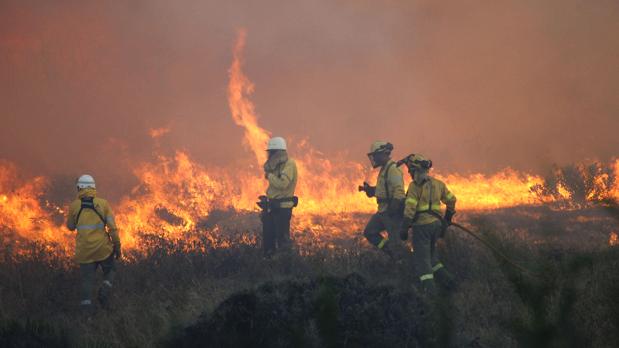 Los bomberos se enteraron por casualidad que tenían una póliza privada