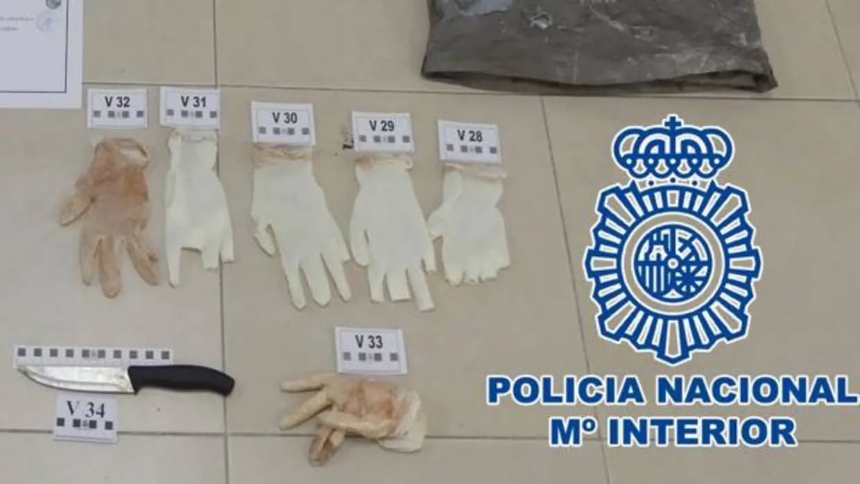 Cuchillo y guantes, supuestamente usados en el crimen.