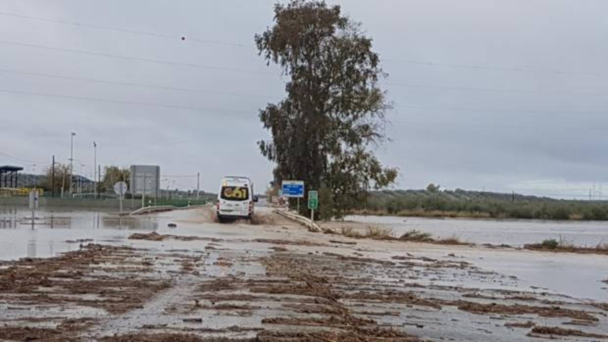 Un tramo de la carretera inundada que enlaza Arahal con Morón de la Frontera, el pasado 29 de noviembre