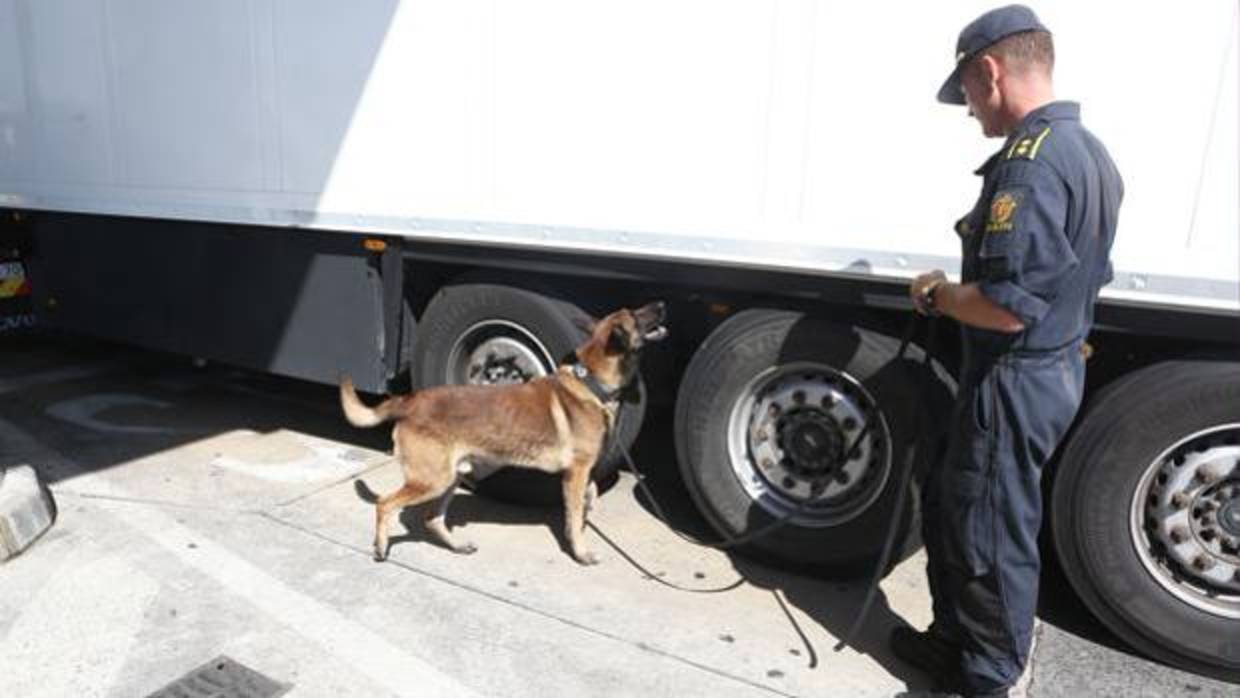 Detenidos tres inmigrantes, dos ocultos en los bajos de un camión, en el puerto de Algeciras