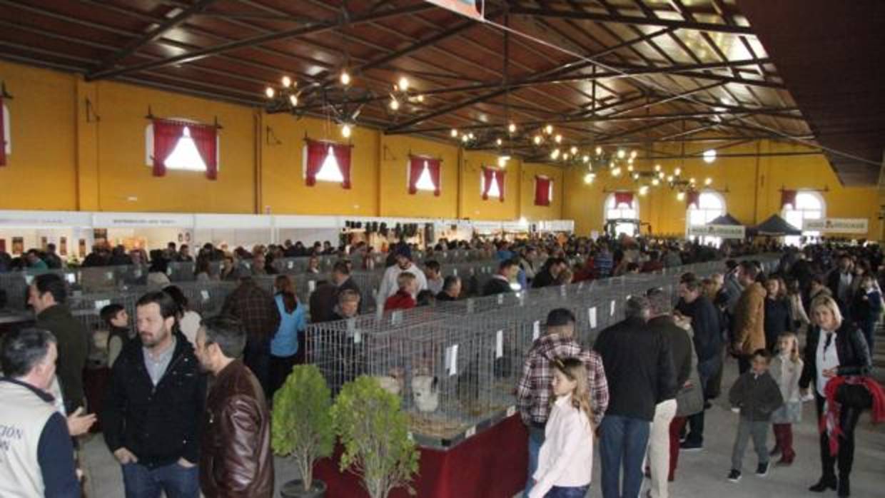 La IV feria avícola de Medina Sidonia supera todas las expectativas