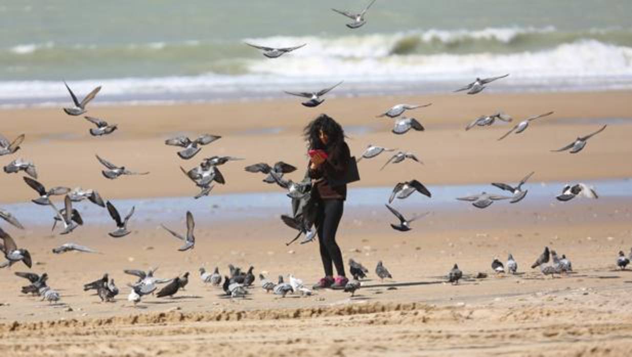 Las playas de Cádiz se recuperan tras las tormentas.