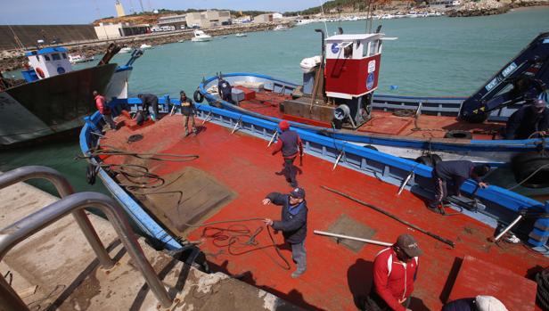 El Estrecho se llena de atunes