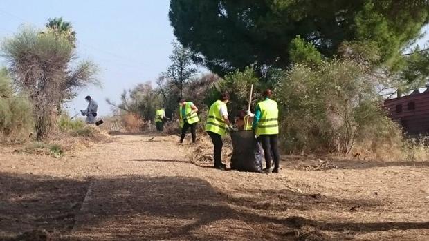 Desempleados del Aljarafe limpiarán el entorno del Riopudio