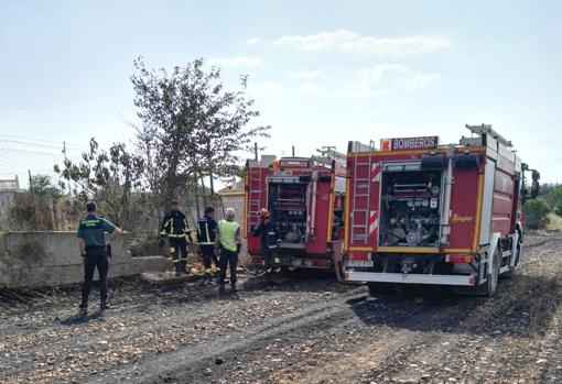 Extinción de un fuego en Torrepalma, esta misma mañana