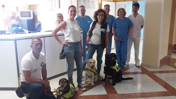 El hospital de Puerto Real implanta un programa con perros en su Unidad de Salud Mental