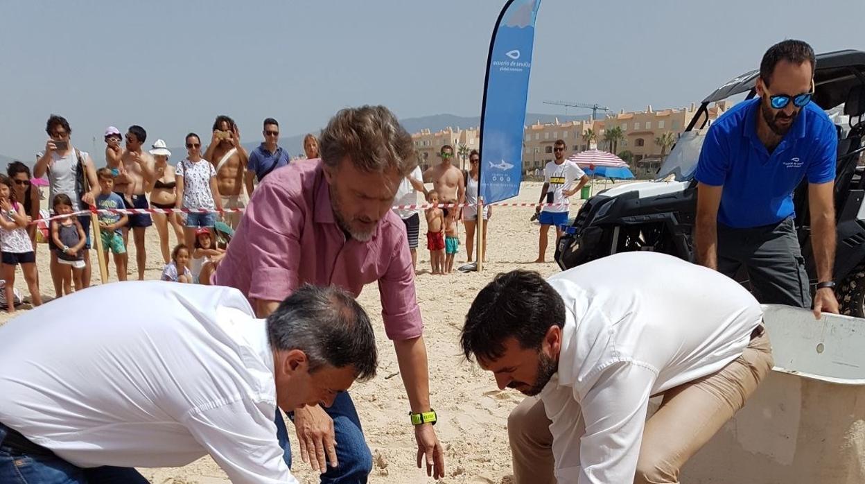 El consejero y los cuidadores de la tortuga en el momento de su liberación en playa Chica (Tarifa)