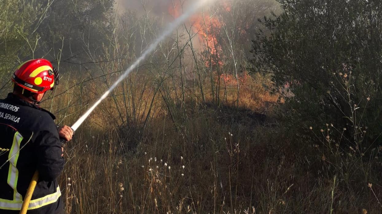 Imagen del incendio forestal en Sanlúcar la Mayor