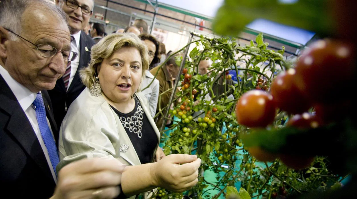 Clara Aguilera, exconsejera de Agricultura y Pesca, recibirá la Aceituna de Oro de la feria del Verdeo de Arahal