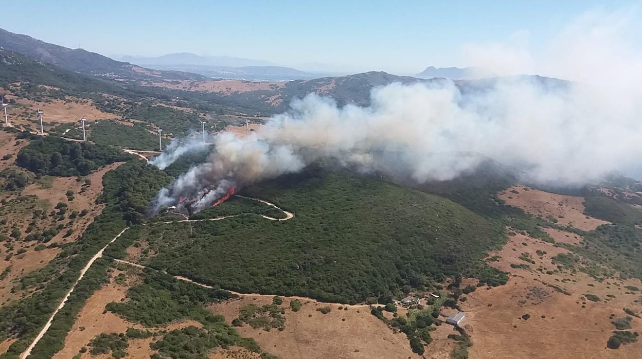 Imagen del Infoca actuando en extinguir el incendio forestal en La Hoya