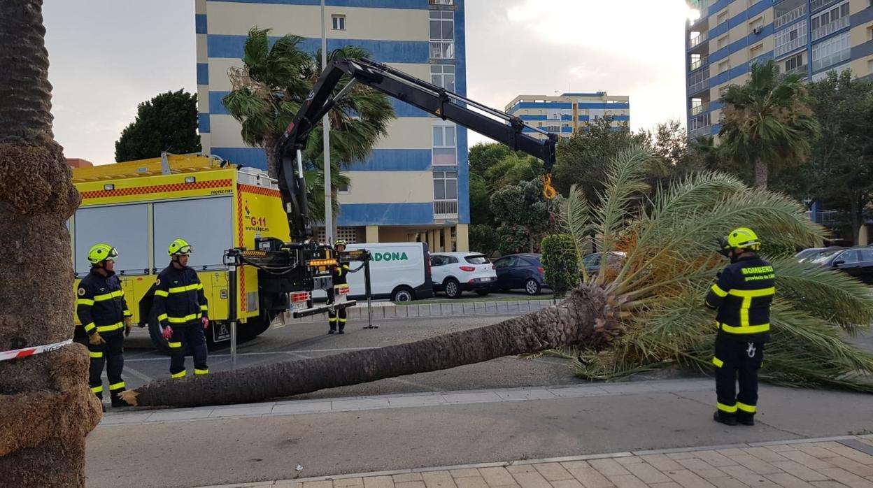 Bomberos del Consorcio ejecutan una decena de intervenciones en la capital a causa del levante