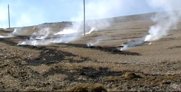 Los Palacios solicita mediciones de calidad del aire durante la campaña de quema de residuos vegetales