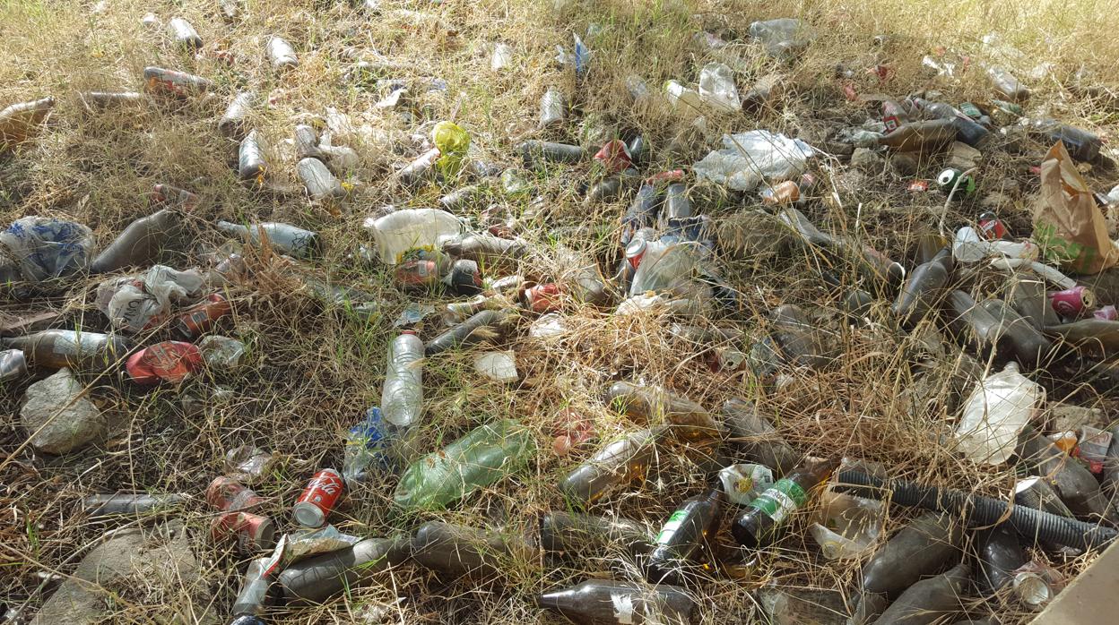 Restos de una botellona, en el parque de la cornisa de Gelves