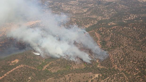 Declarado un incendio forestal en El Ronquillo