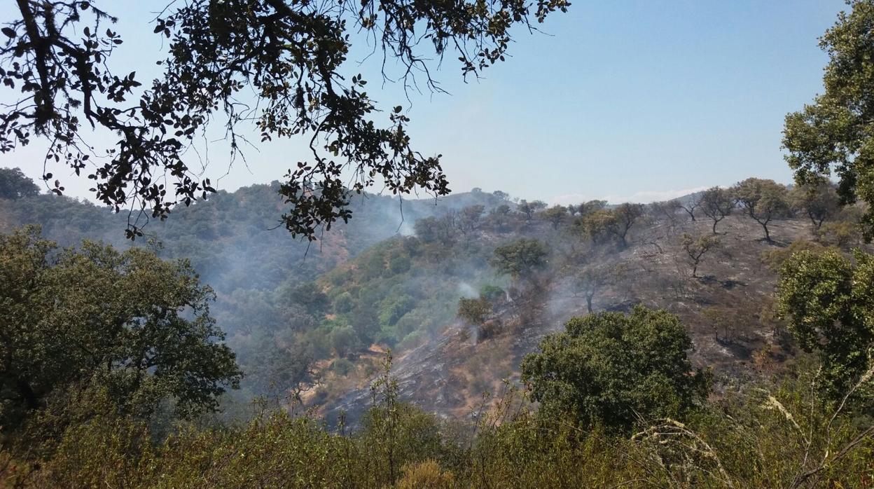 Incendio forestal en el paraje Vega del Trabuco