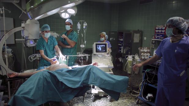 Más de 140 trasplantes en un año en el Puerta del Mar y San Carlos