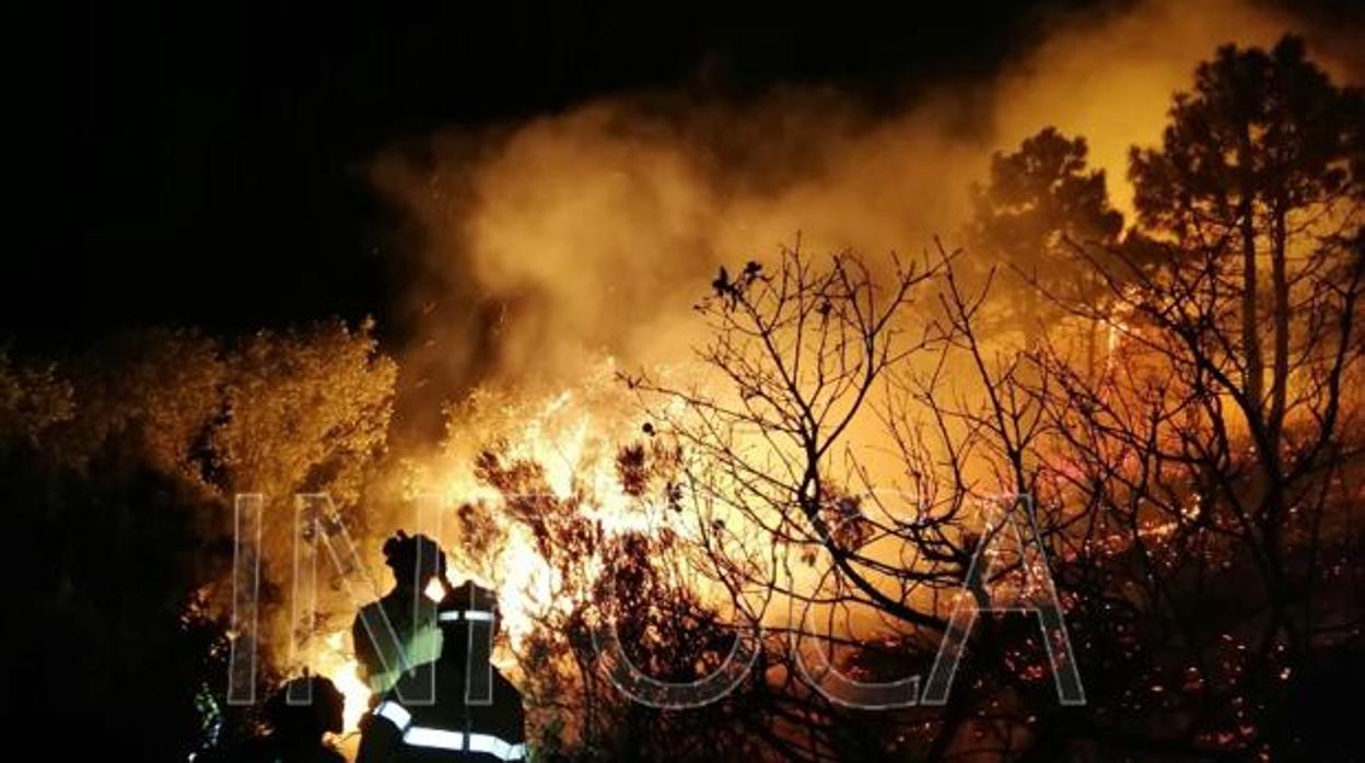 Labor de los trabajadores del Plan Infoca para extinguir el incendio de Tarifa.