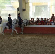 Momento de la exhibición ecuestre.