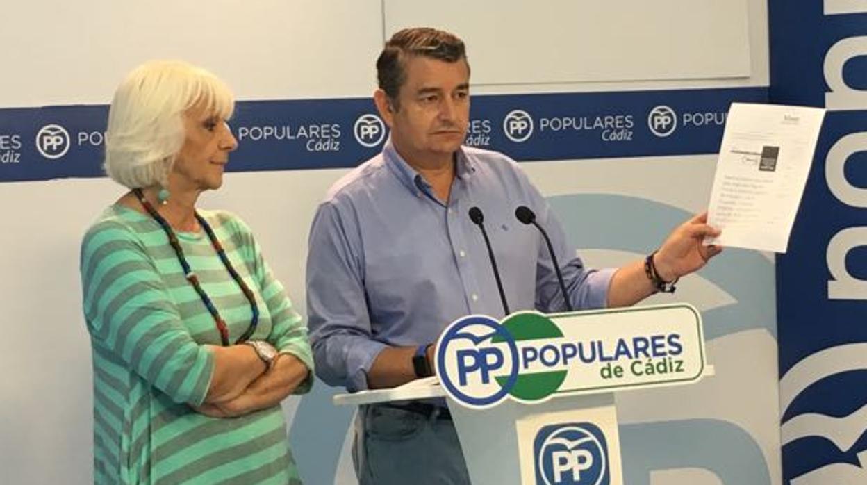 El presidente de los populares gaditanos, Antonio Sanz.