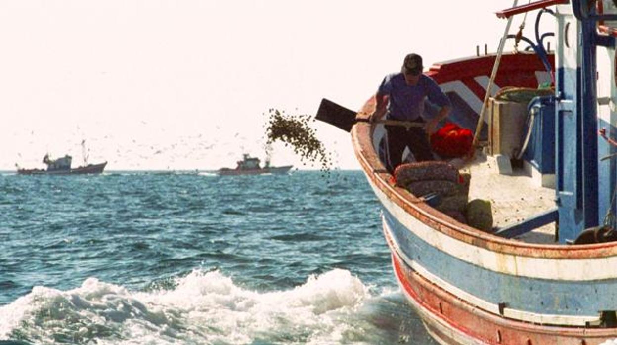 Convocadas las ayudas a la paralización de la pesca en el Golfo de Cádiz