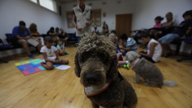 El mejor amigo también de los libros