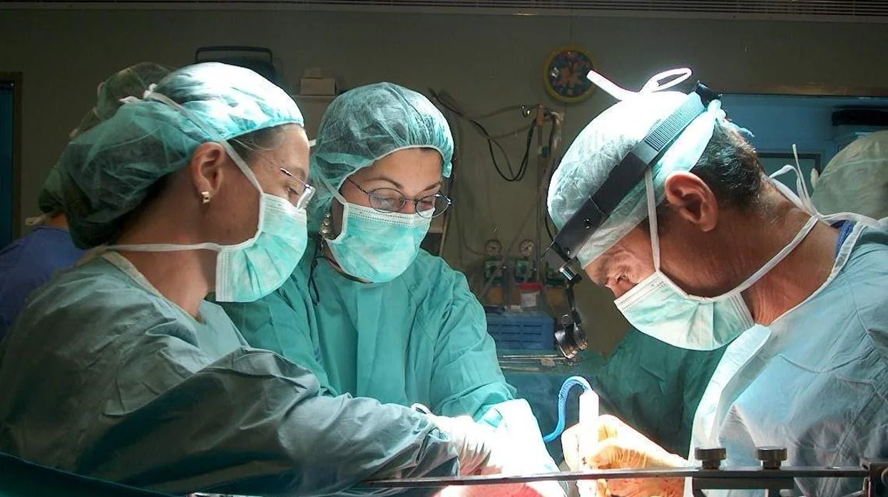 Los hospitales de Jerez y Cádiz realizan 39 trasplantes de médula en 2018