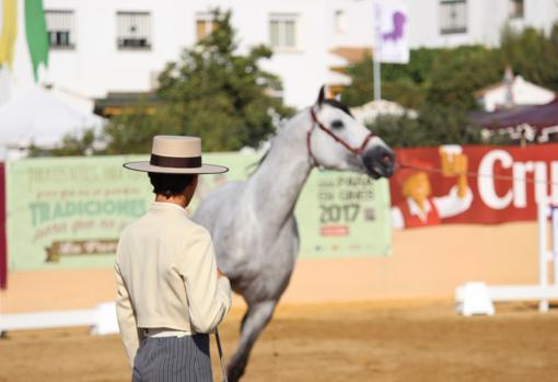 «La Pará» en Gines se estrena el jueves como acontecimiento de Interés Turístico