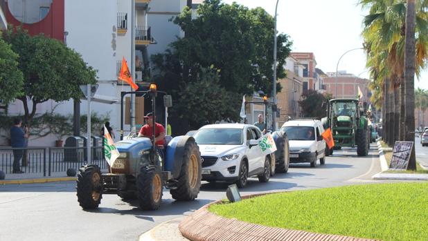 Tractorada en Los Palacios para reivindicar un precio justo de la aceituna