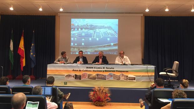Investigadores y empresarios de acuicultura se citan en El Puerto