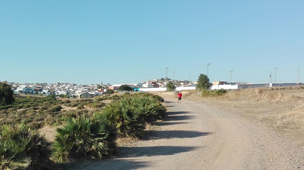 Uno de los caminos en Aznalcóllar donde se han encontrado cadáveres de canes