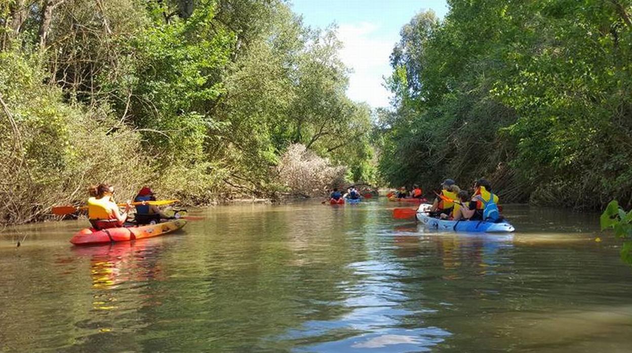 Algunas familias disfrutan del Corredor Verde de Sevilla en piraguas