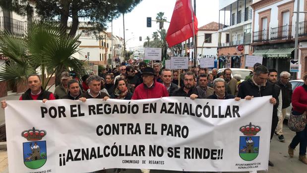 Protesta por una «colonia de 20 avutardas» que impide a los agricultores disponer de más hectáreas de regadío