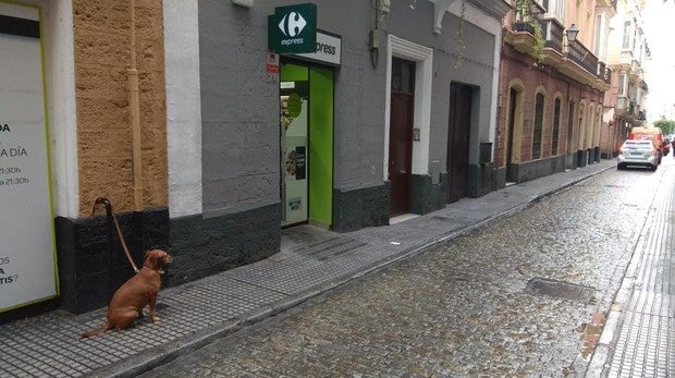 Atracan con un cuchillo un supermercado de Cádiz centro