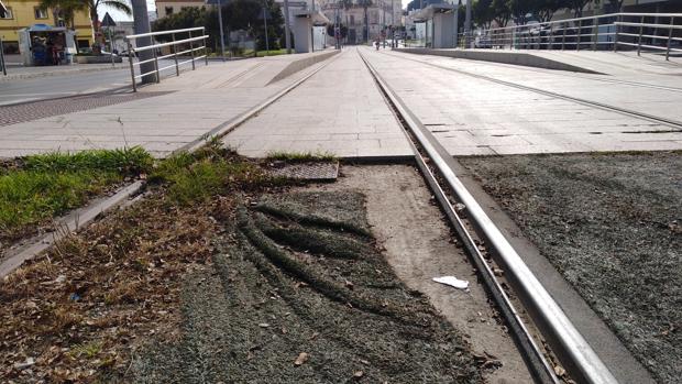 Anuncian oleadas de denuncias si el tranvía no comienza a funcionar en marzo