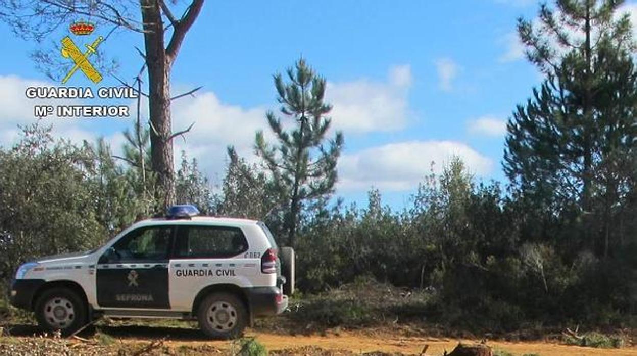 Un vecino de Alcolea fue rescatado por la Guardia Civil tras perderse mientras buscaba setas