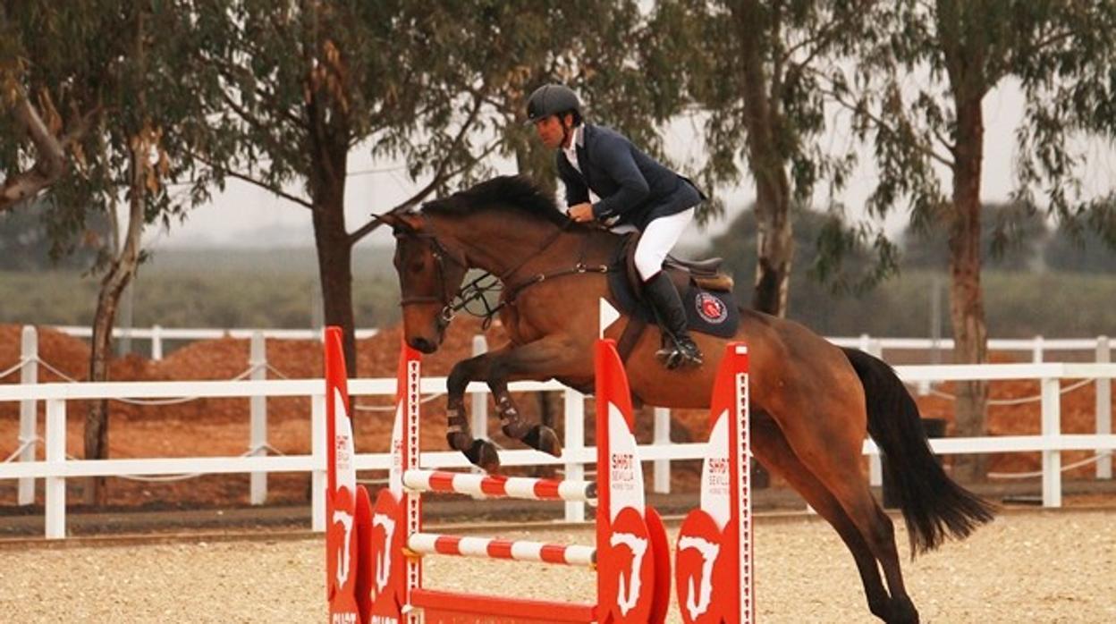 En la primera edición del Sevilla Horse Tour-Shot han participado unos 340 caballos