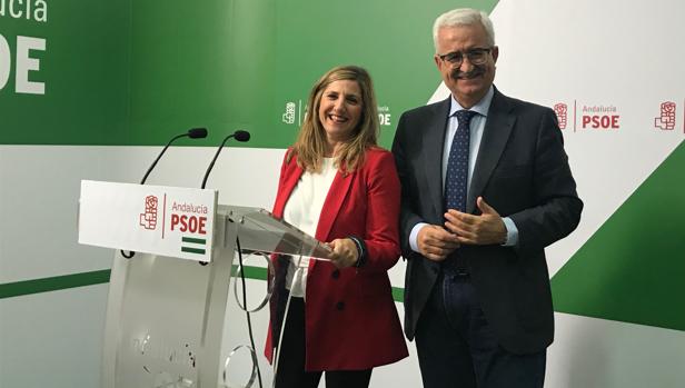 El PSOE termina una campaña «propositiva» y aspira a obtener un «amplio apoyo»