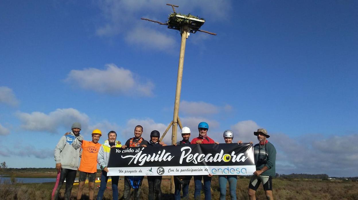 El proyecto de Endesa y Fundación Migres para preservar el águila pescadora.