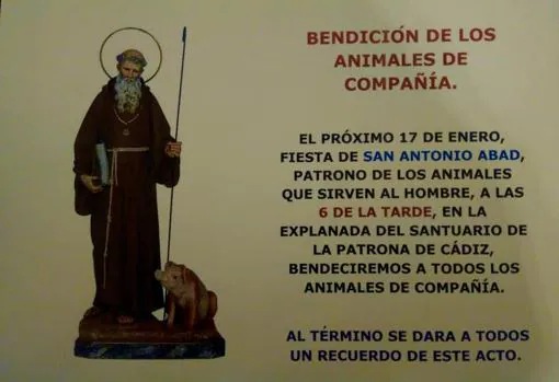 Bendición de los animales en Santo Domingo