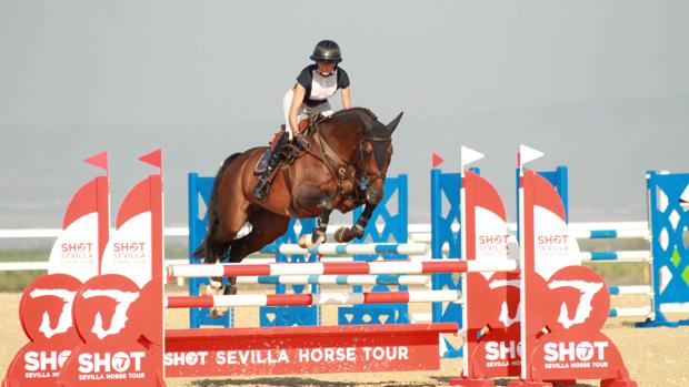 Carmona acogerá a 800 caballos de todo el mundo en el campeonato de invierno de Sevilla Horse Tour