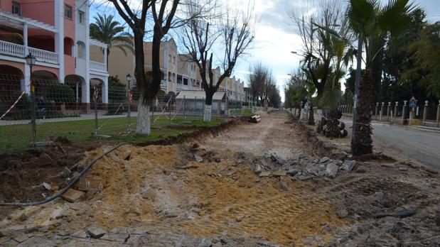 Un paso adelante fundamental para proteger los árboles del casco urbano de Utrera