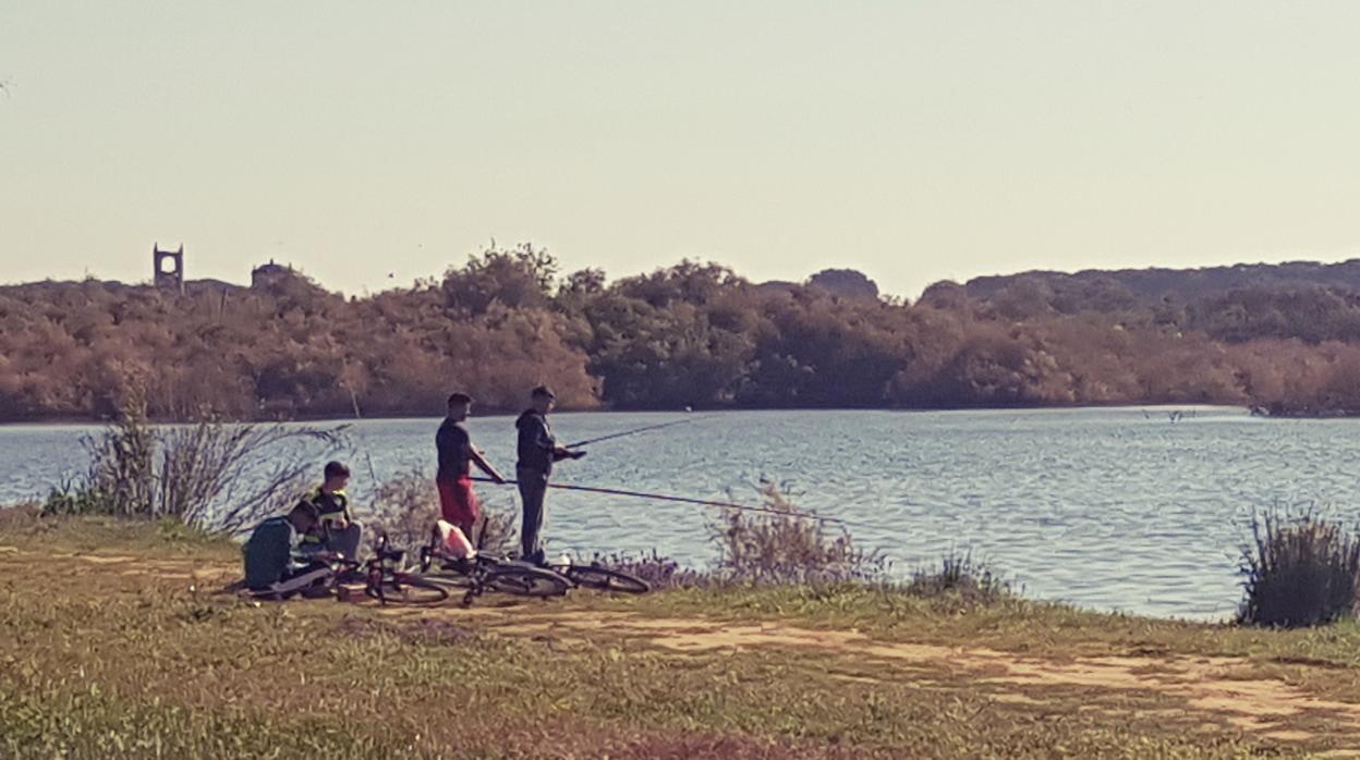 La laguna La Mejorada, conocida como el «lago de Diego Puerta», acoge a numerosas especies de aves