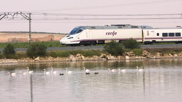 Nuevo récord de viajeros en los Alvia de Cádiz