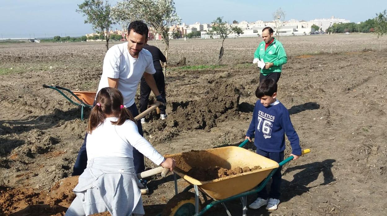 En los últimos años, Legiones de Leptis ha plantado miles de árboles en Utrera