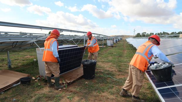 La energía solar llega a Utrera con una planta en Don Rodrigo con más de 500.000 paneles solares