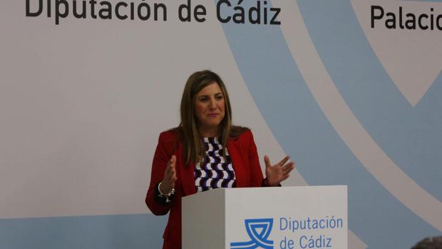 El Pleno de Diputación ratifica el miércoles las distinciones del Día de la provincia