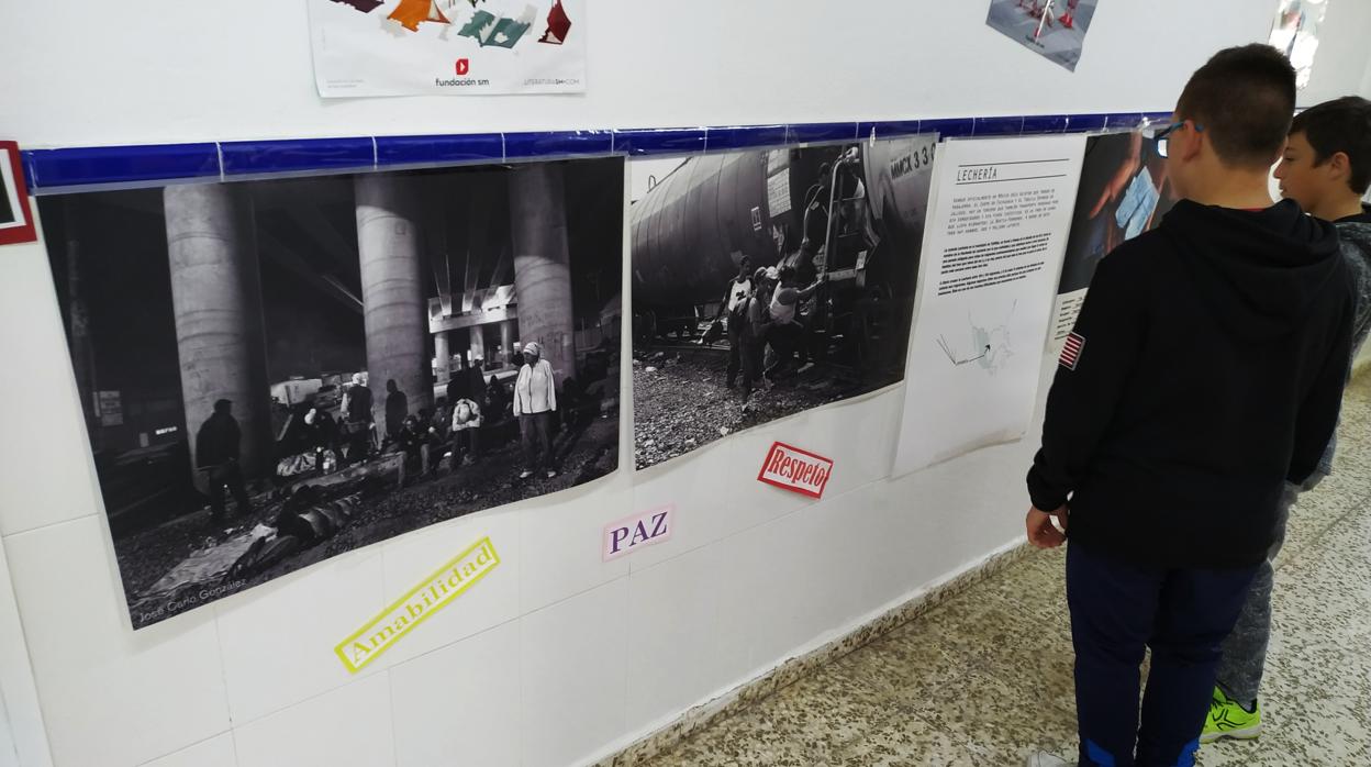 Imágenes de la exposición 'Somos migrantes' en el colegio Andalucía de Cádiz