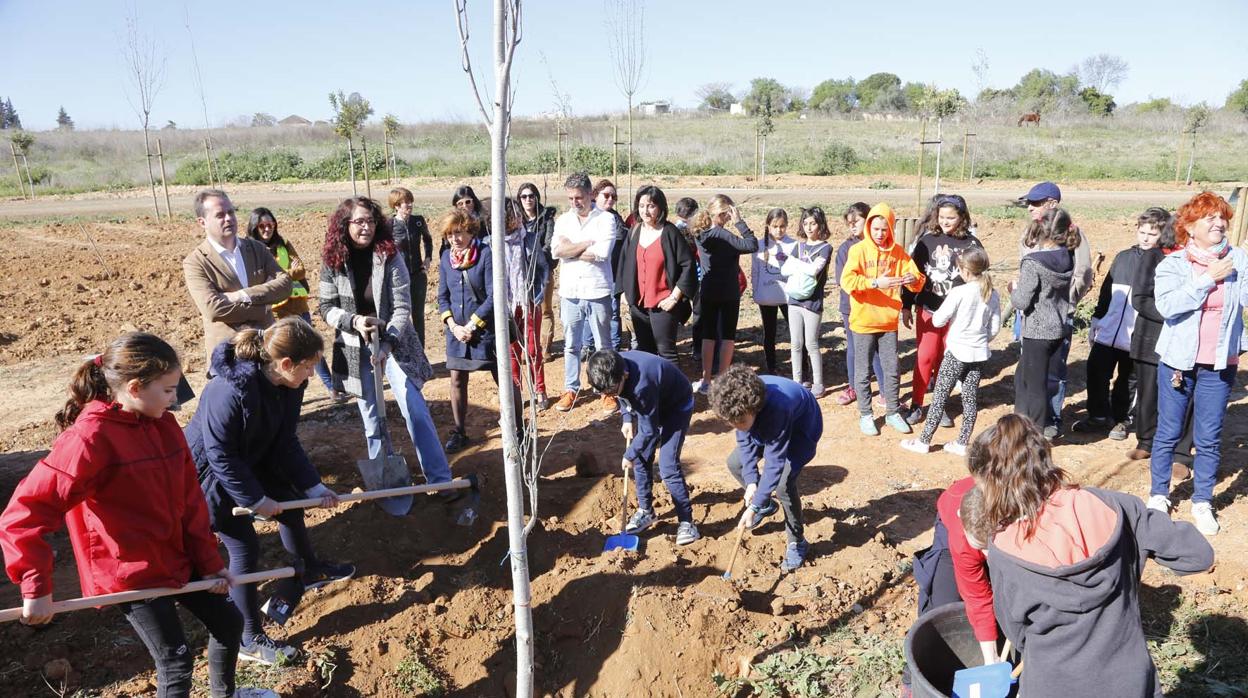 Los estudiantes de Mairena del Aljarafe plantaron ayer los primeros árboles del Parque Central