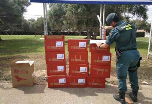 La Guardia Civil intercepta 30 atunes rojos pescados de manera ilegal